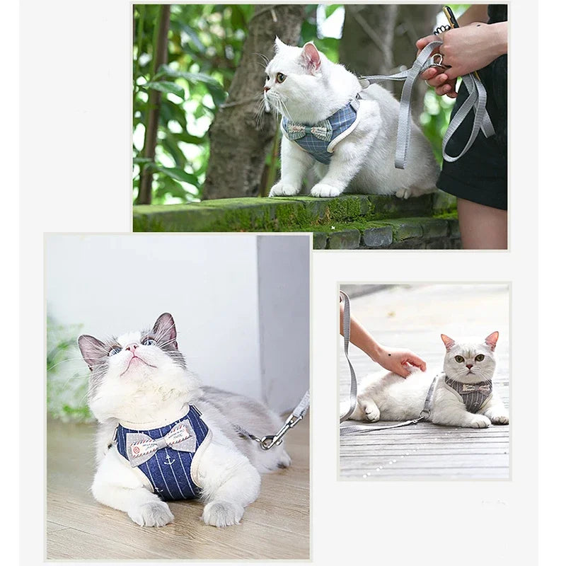 Harnais Laisse pour Chat Noeud Papillon MonAmiFidèle