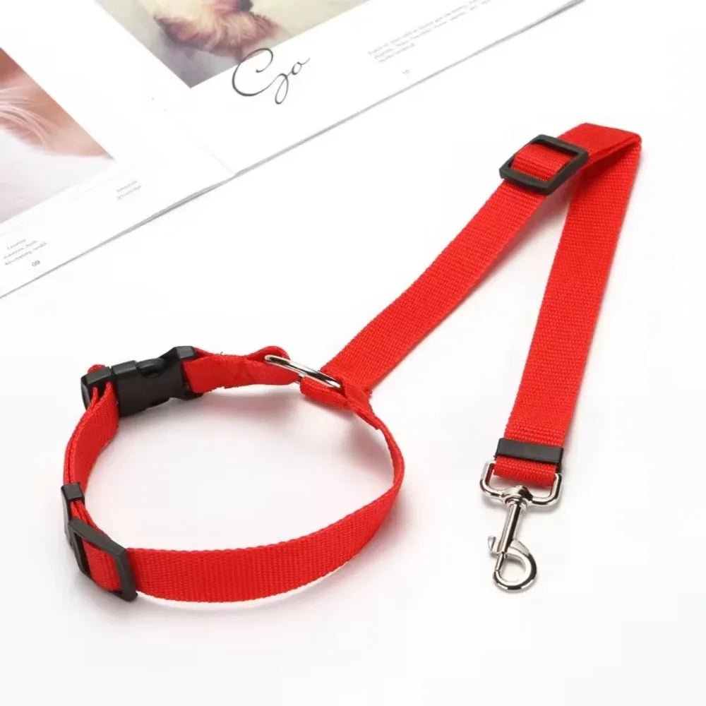 Laisse pour voiture pour Chien MonAmiFidèle