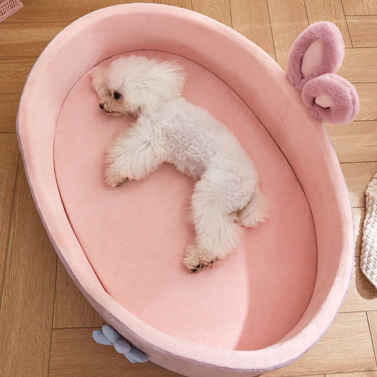 Panier pour Chien design lapin MonAmiFidèle