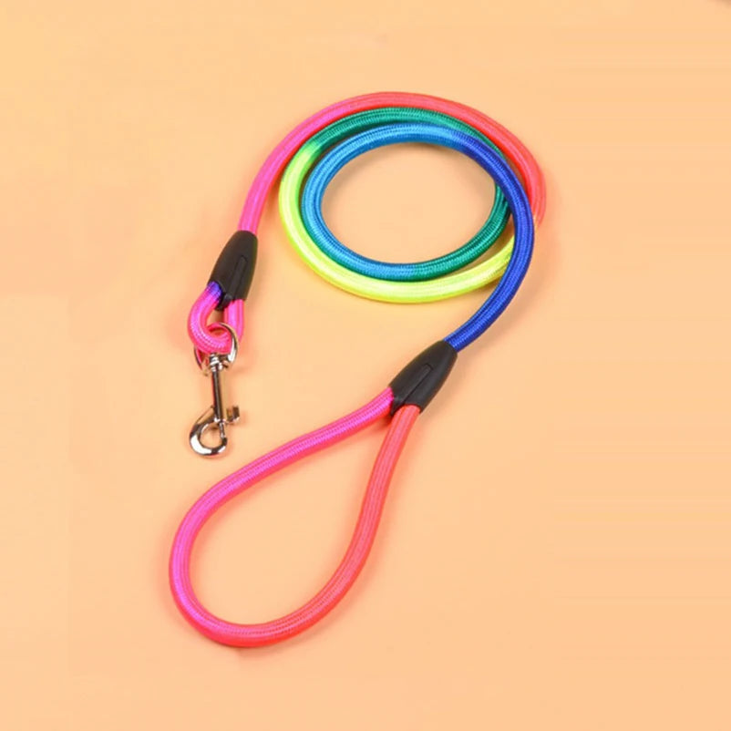 Laisse en nylon pour Chien Multicolore MonAmiFidèle