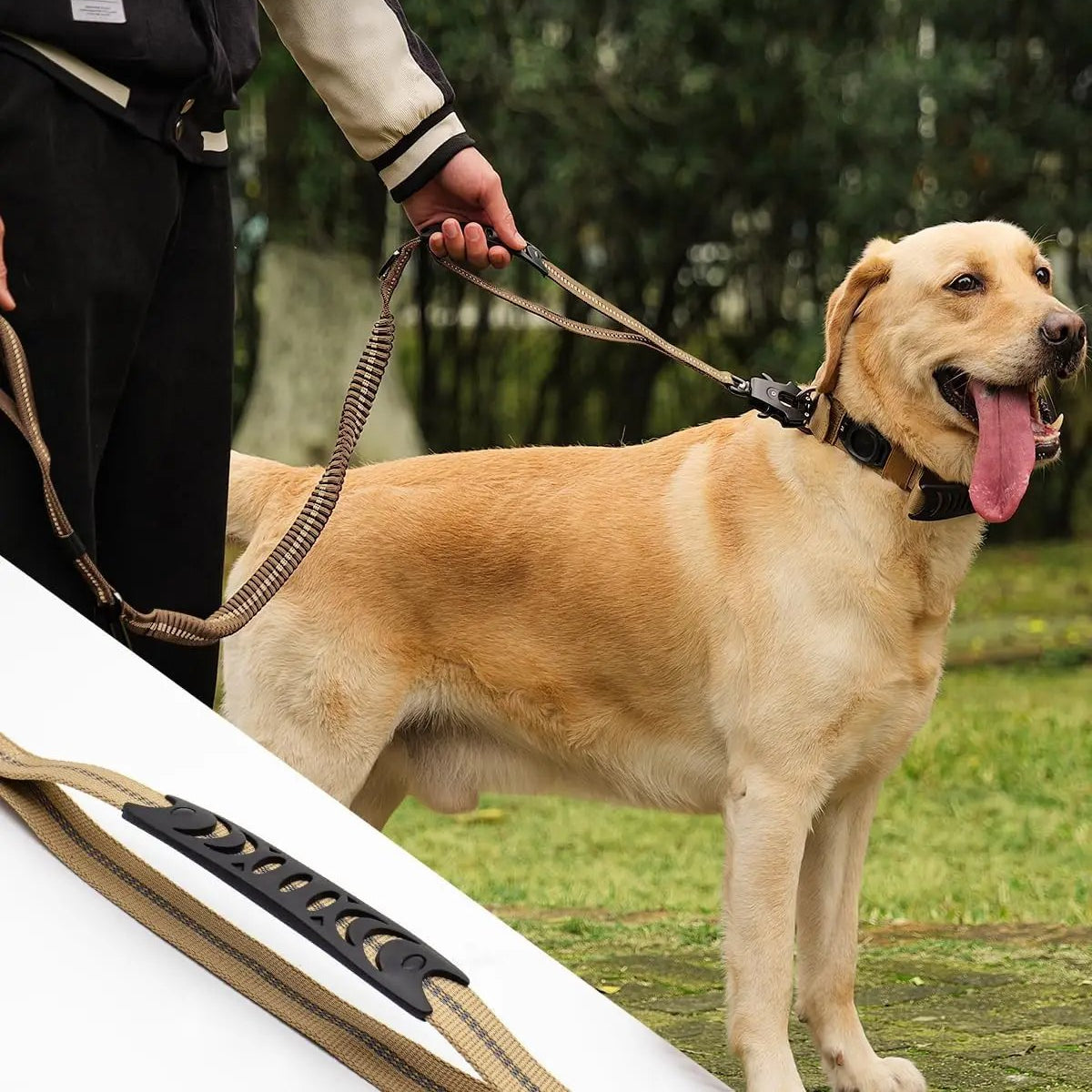 Laisse pour Chien 4 en 1 MonAmiFidèle