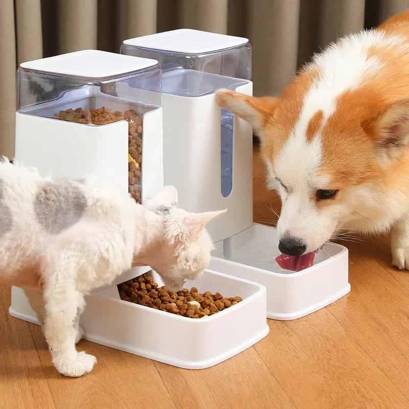 Distributeur automatique croquette pour Chien MonAmiFidèle