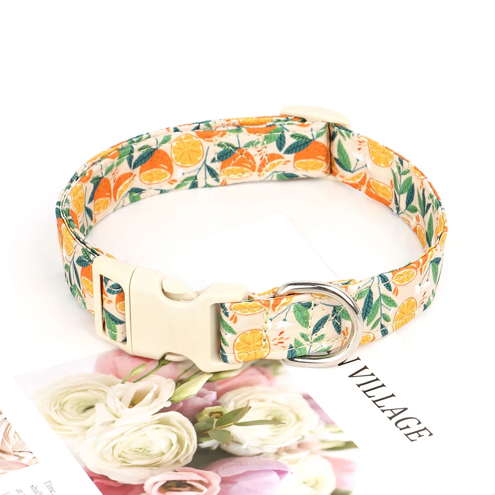 Collier pour Chien avec motif MonAmiFidèle