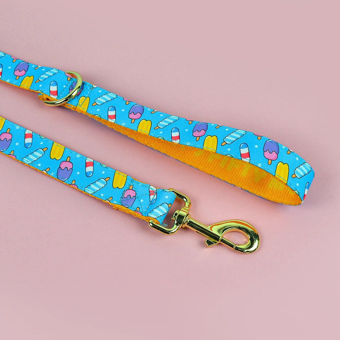 Laisse pour Chien avec motif MonAmiFidèle