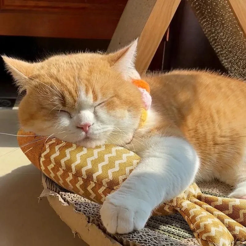 Jouet pour Chat Poisson MonAmiFidèle