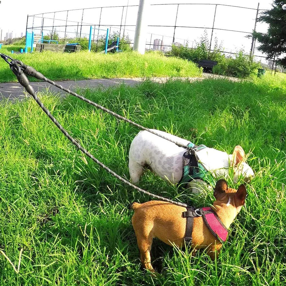 Laisse double pour Chien zéro enchevêtrement MonAmiFidèle