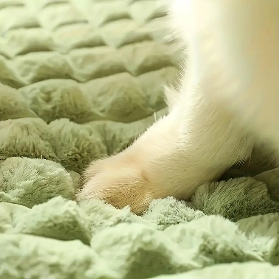Pet Bed Mat with Zipper Remolvable Elastic Cat Bed for Dog Sleeping Mat Small Washable Cat Nest Pet Sofa Cushion for Medium Dog MonAmiFidèle
