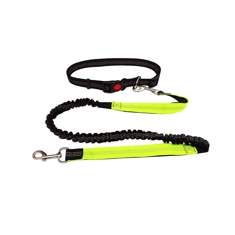 Laisse main libre pour Chien MonAmiFidèle