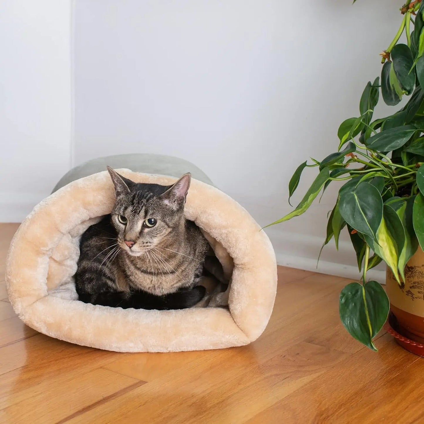 Autumn and Winter Cat Sleeping Bag Semi-enclosed Cat Nest Warm Small and Medium-sized Pet Nest Can Be Disassembled and Washed MonAmiFidèle