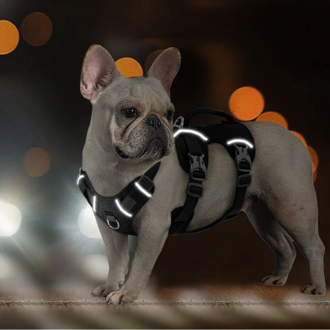 Harnais Chien avec Poignée MonAmiFidèle