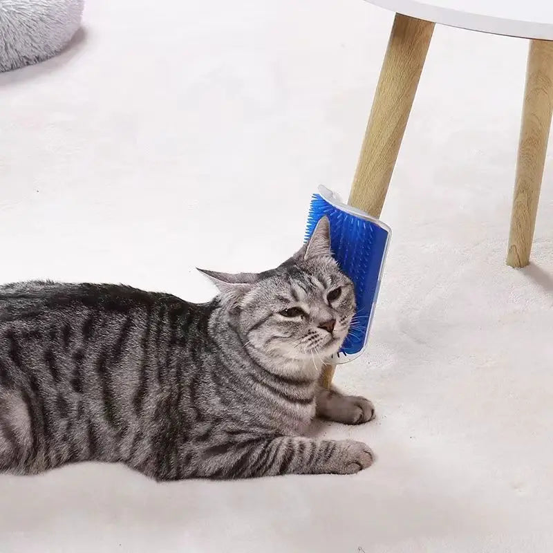 Grattoir Chat d'angle MonAmiFidèle