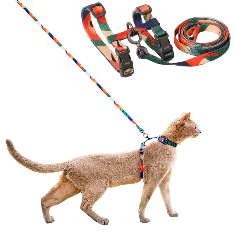 Harnais pour Chat anti fugue MonAmiFidèle