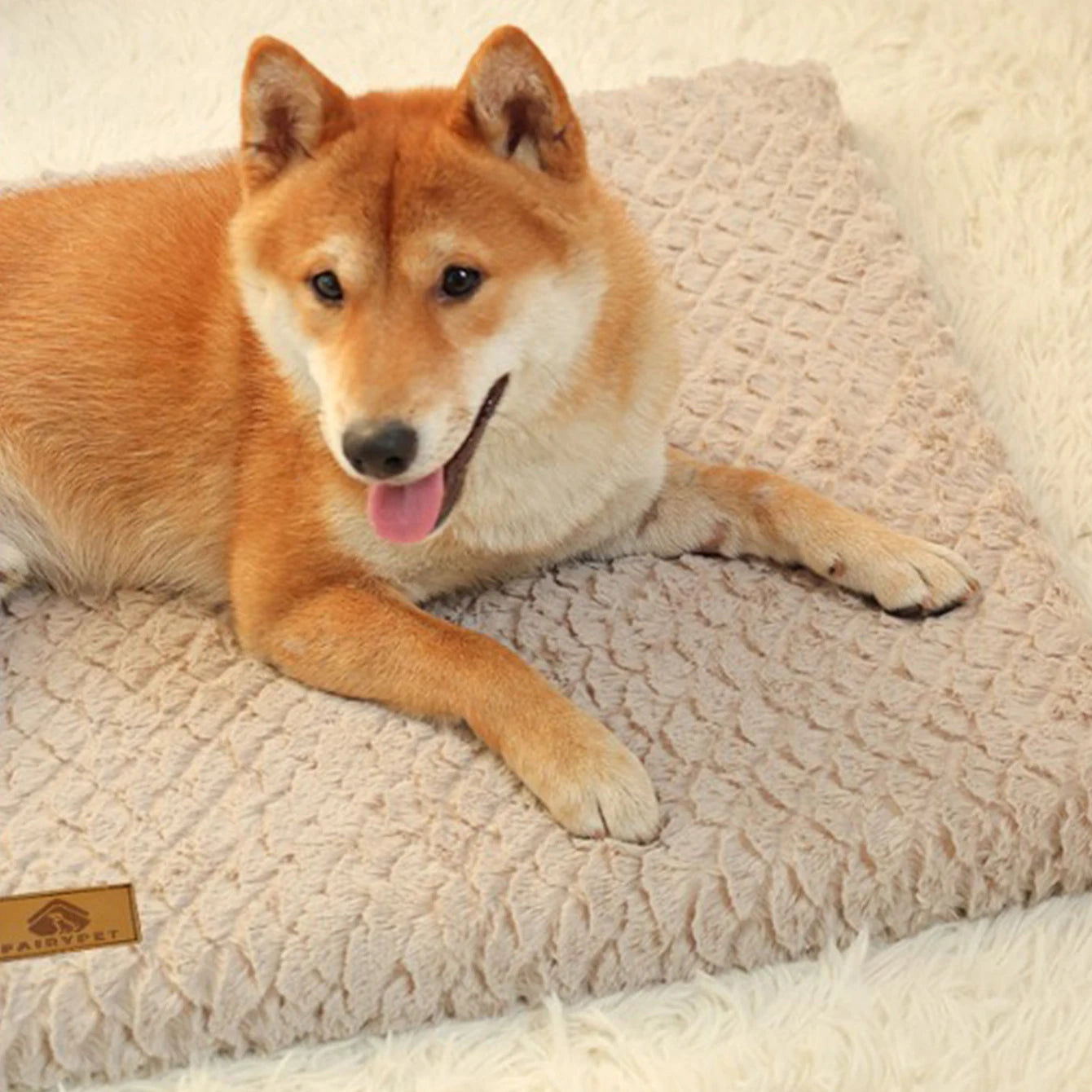 Tapis pour Chien MonAmiFidèle
