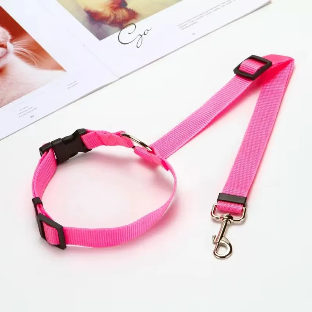 Laisse pour voiture pour Chien MonAmiFidèle