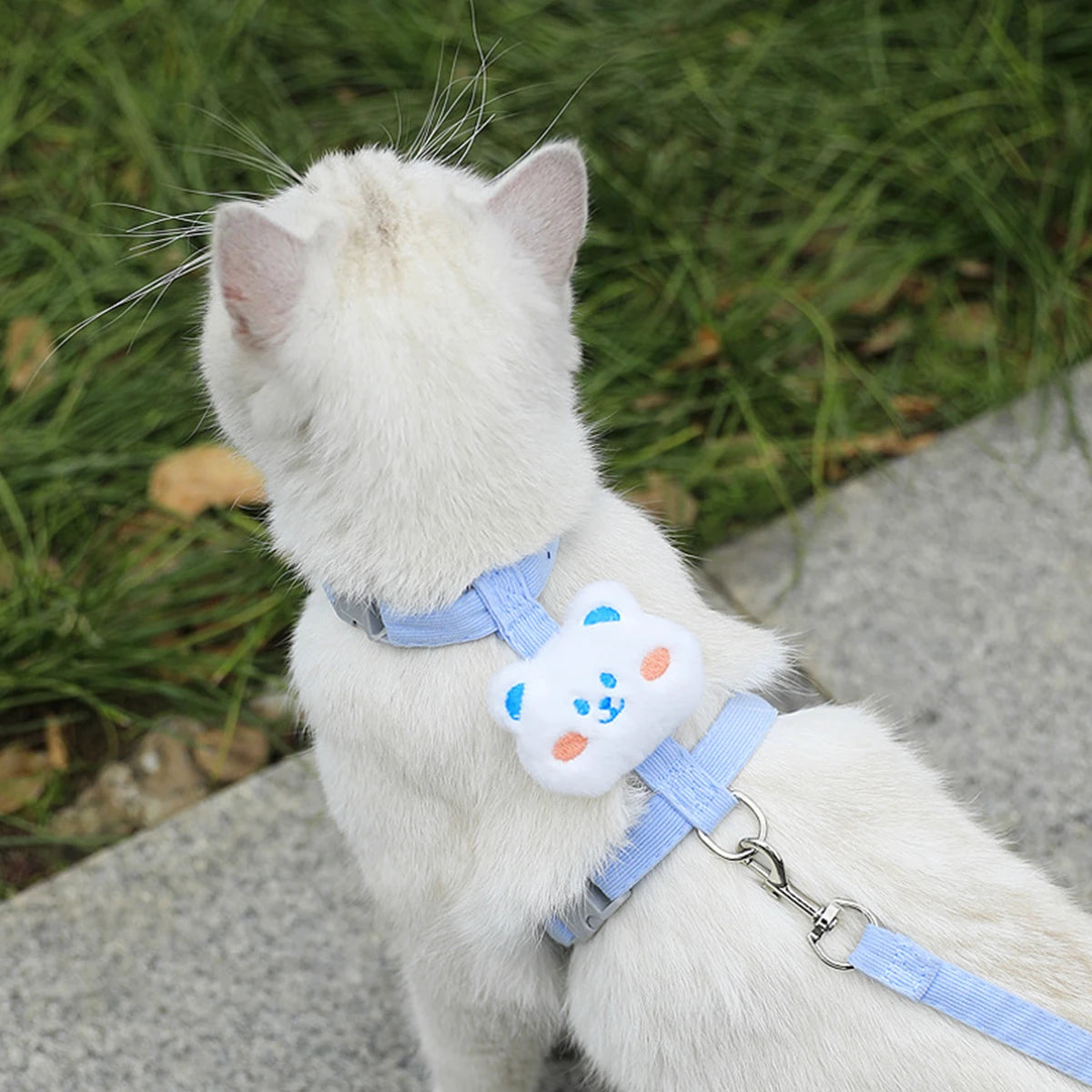 Harnais Laisse Chat Mignon MonAmiFidèle