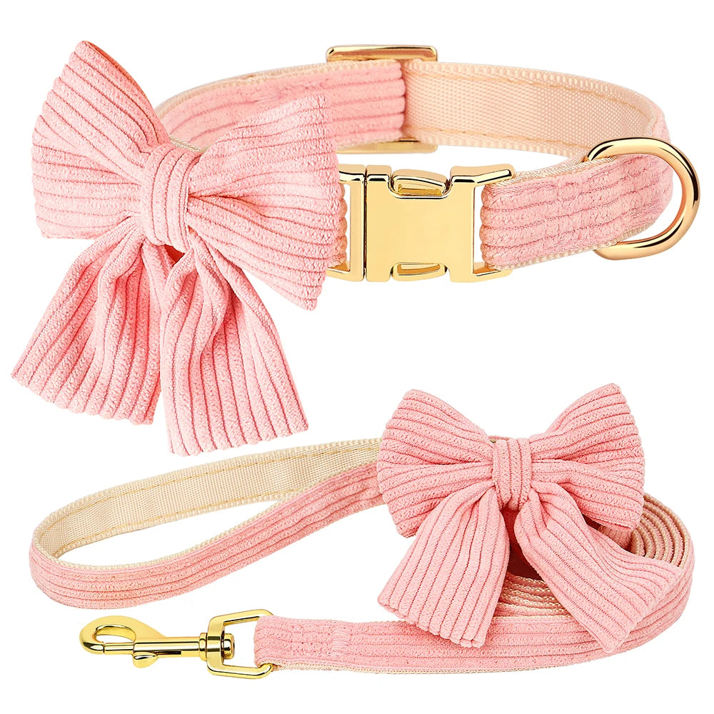 Collier et Laisse chien MonAmiFidèle