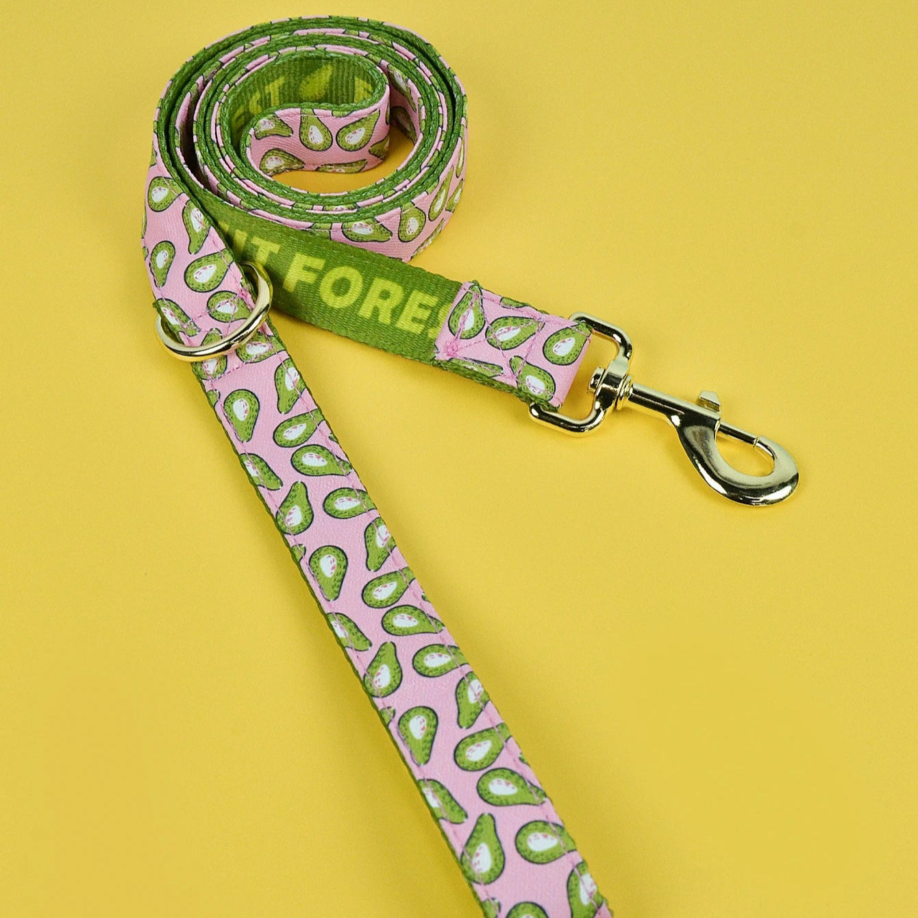 Laisse pour Chien avec motif MonAmiFidèle
