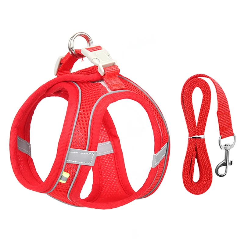 Harnais pour petit Chien MonAmiFidèle