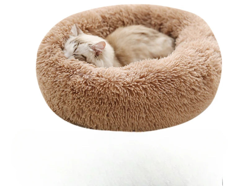 Nid douillet pour Chat MonAmiFidèle