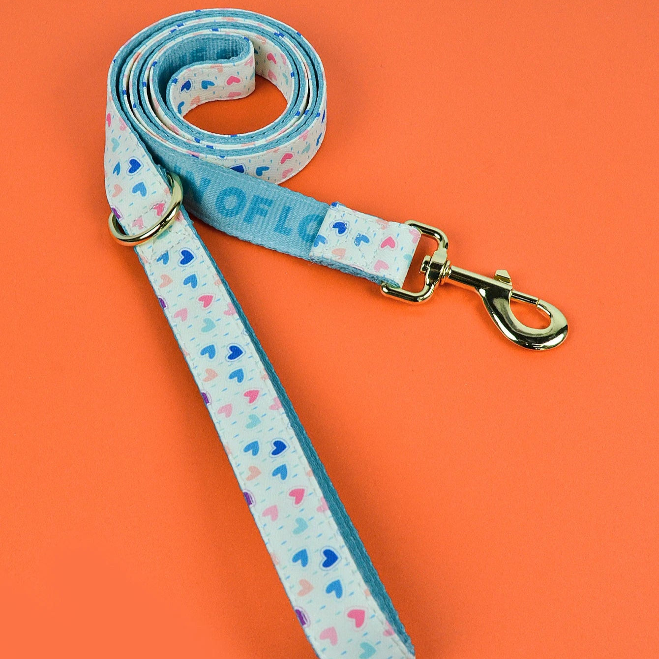 Laisse pour Chien avec motif MonAmiFidèle