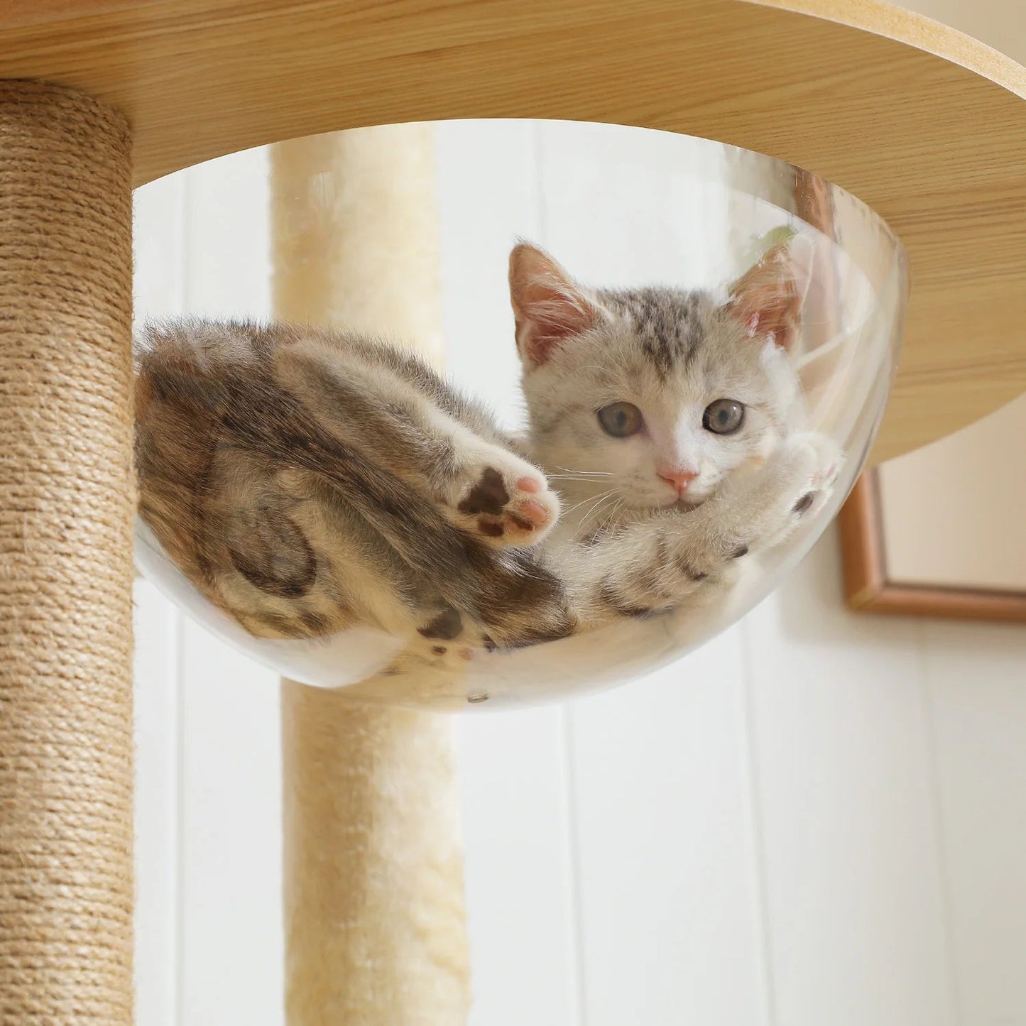 Multi-Level Cat Tree for Indoor Wood Cat Tower with Scratching Posts Spacious Condo Hammock Top Perch Cat Scratcher Cat Toys MonAmiFidèle