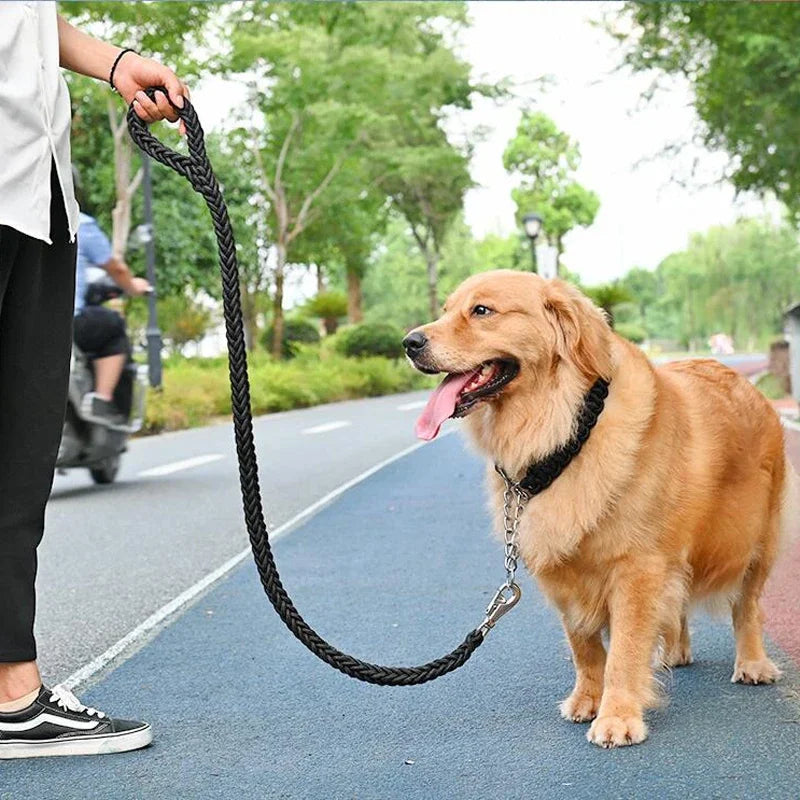 Laisse en nylon pour Chien MonAmiFidèle