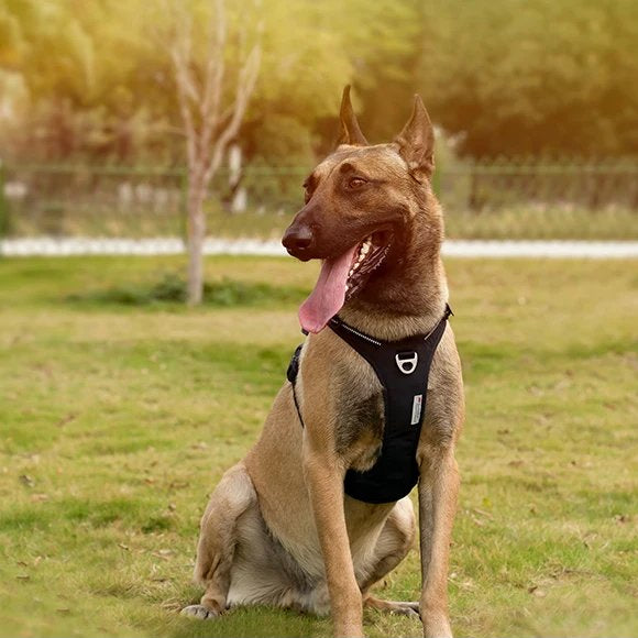 TRUE LOVE Pet Harness No Pull Nylon Reflective Dog Harness Adjustable Comfortable Control Step-in Brilliant Truelove TLH5654 MonAmiFidèle