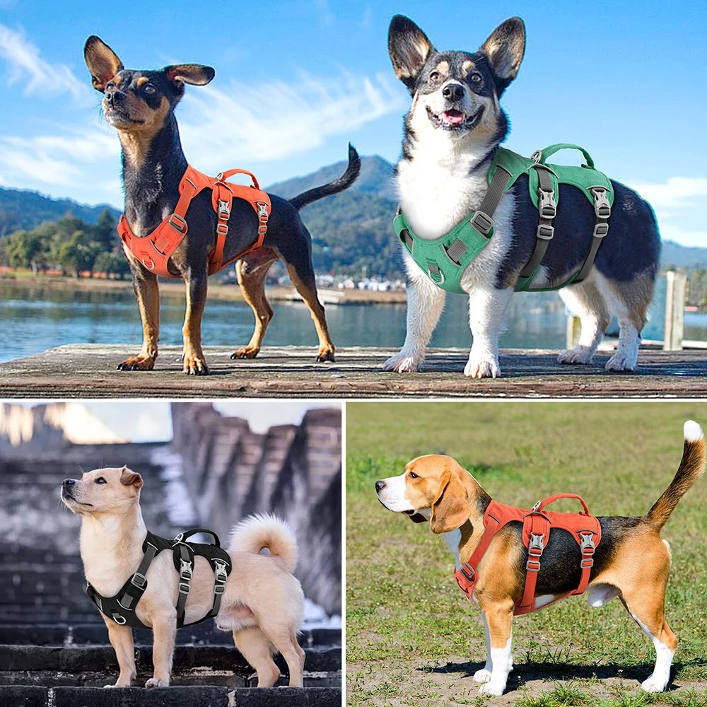 Harnais Chien avec Poignée MonAmiFidèle