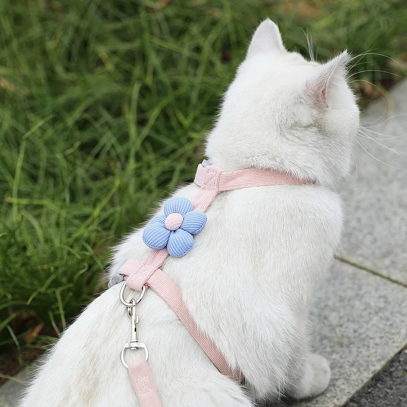 Harnais Laisse Chat Mignon MonAmiFidèle