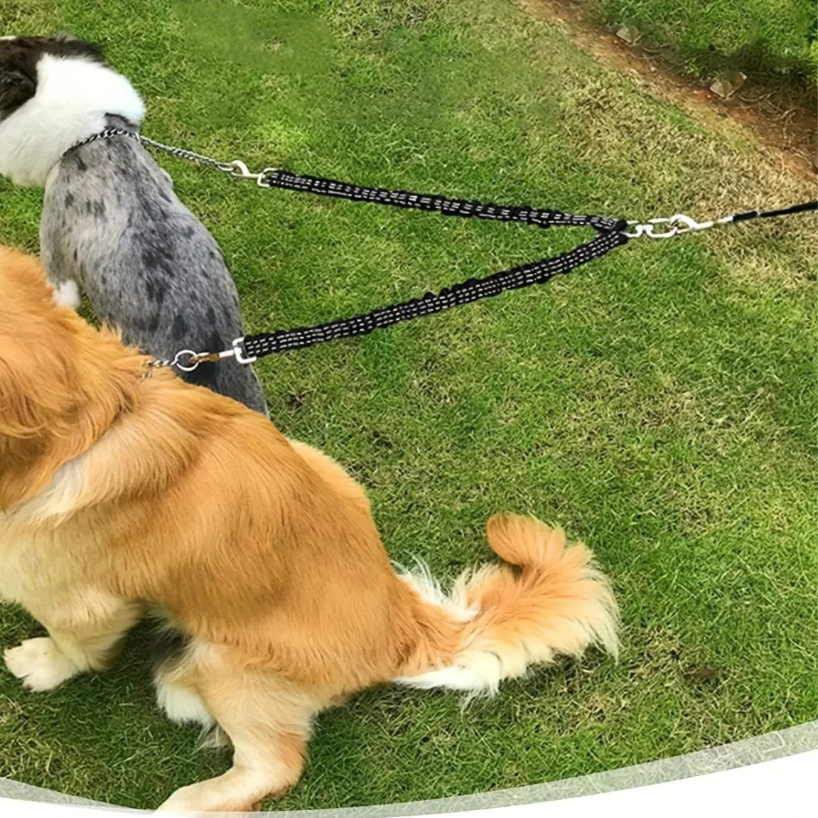 Double laisse pour Chien MonAmiFidèle
