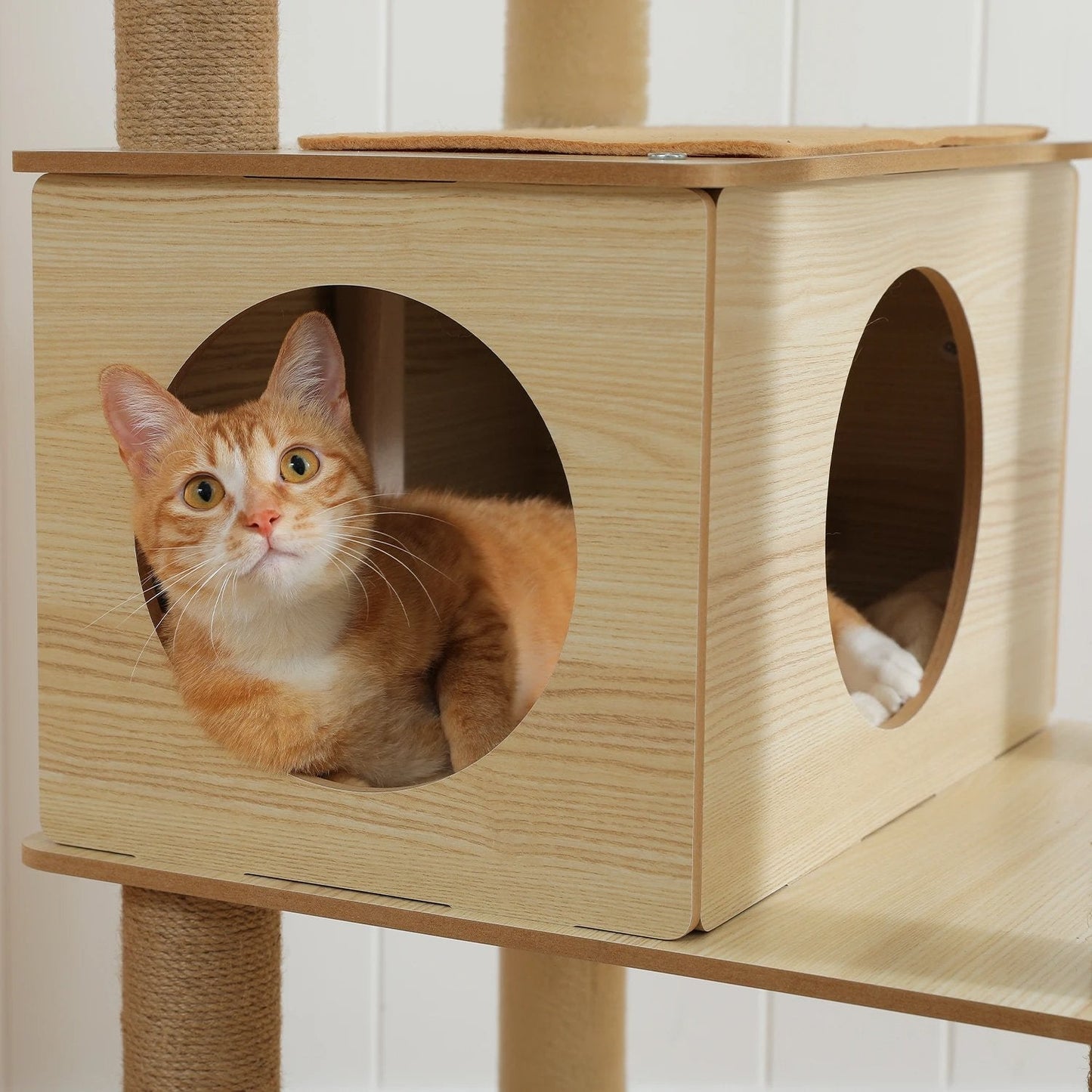 Arbre à Chat XXL en Bois MonAmiFidèle