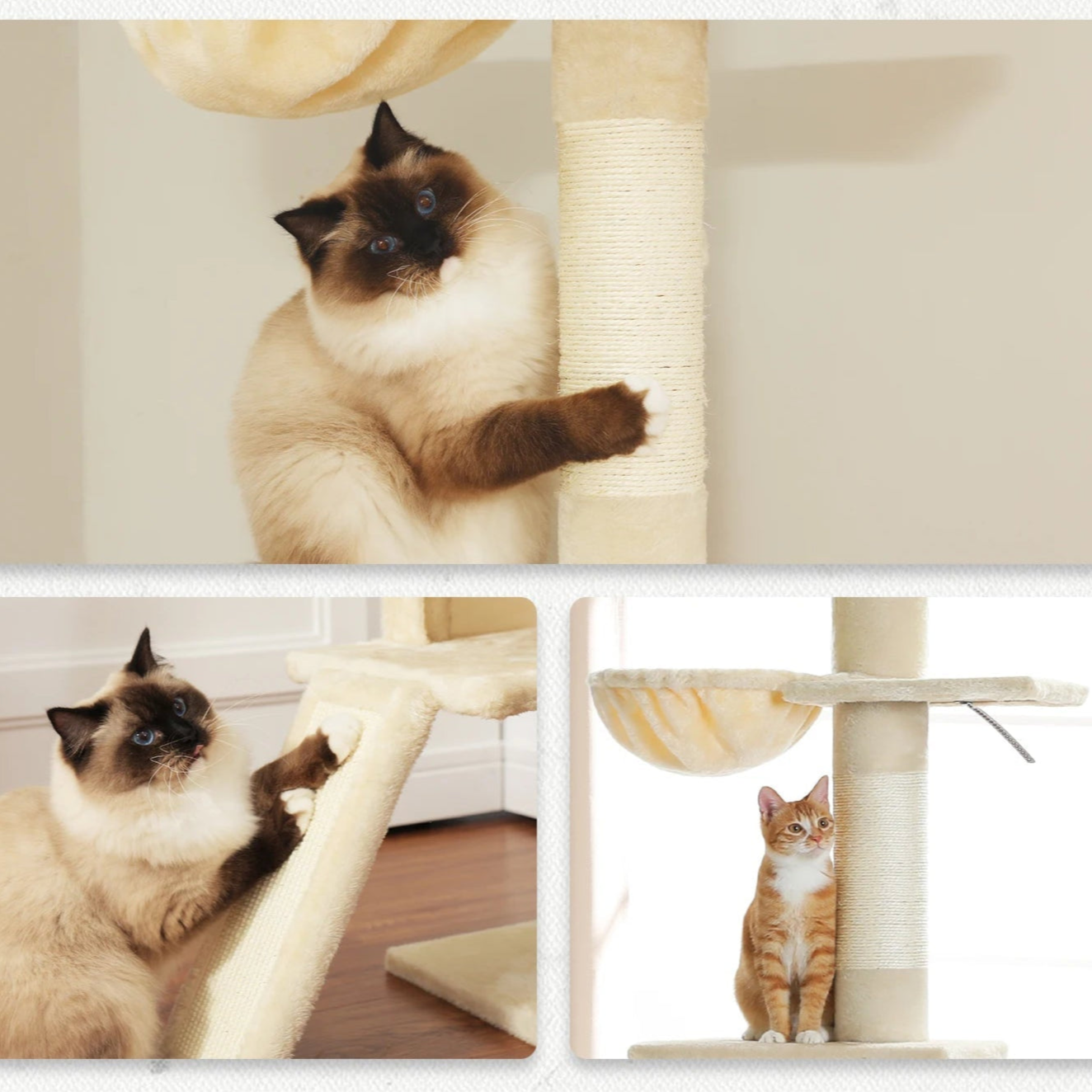 Modern Adjustable 210-274cm Cat Tree Tower Floor-to-Ceiling 5-Tier with Condo Perches Scratching Posts Ladders for Indoor Cats MonAmiFidèle