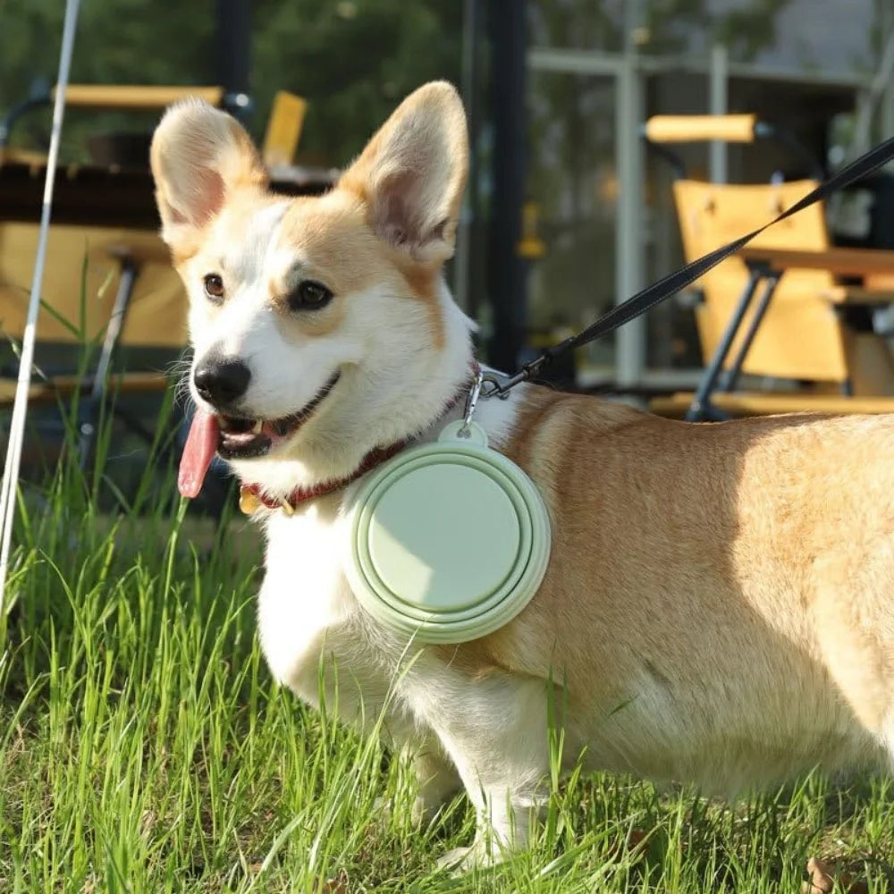 Gamelle pliable Chien Lot de 2 MonAmiFidèle