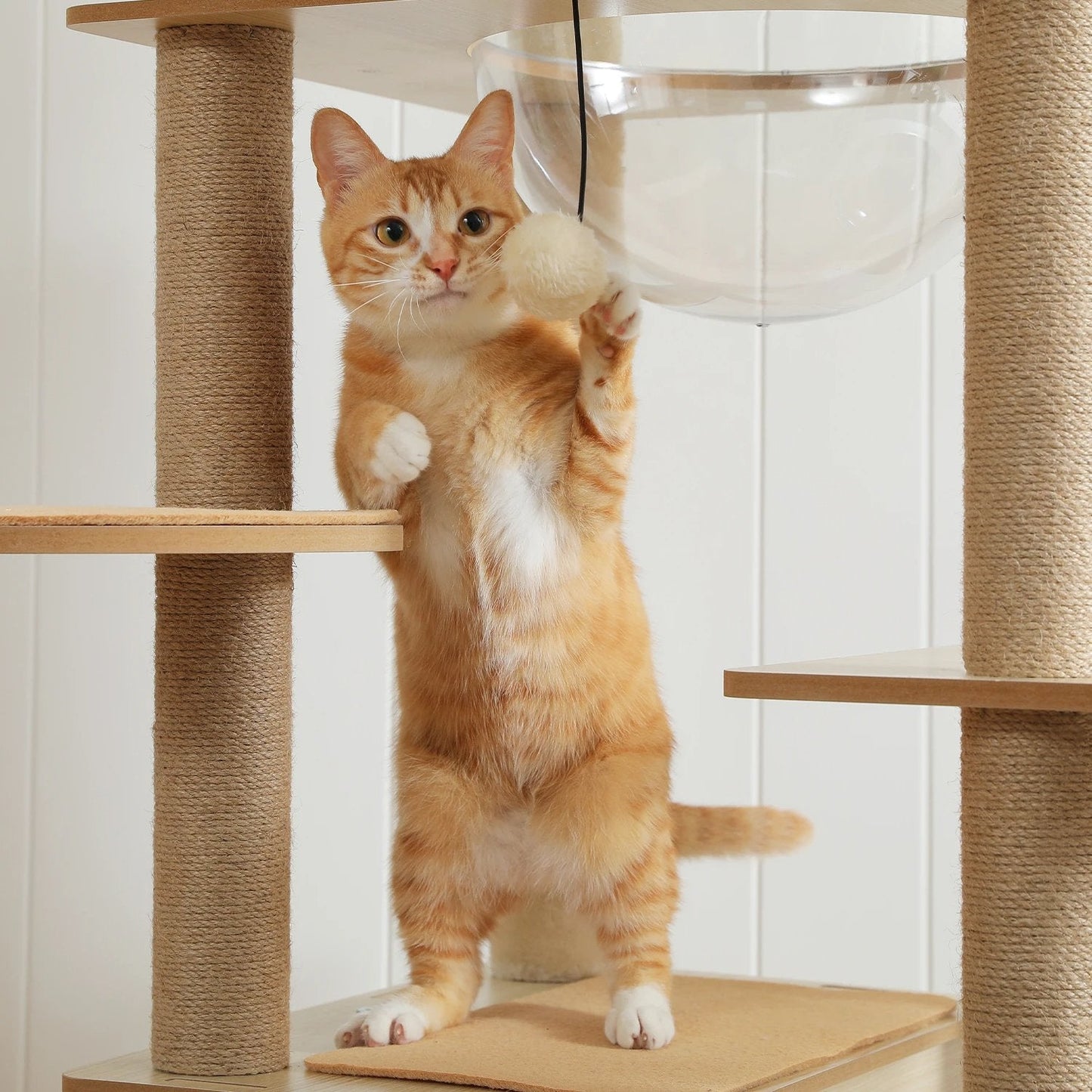 Arbre à Chat XXL en Bois MonAmiFidèle