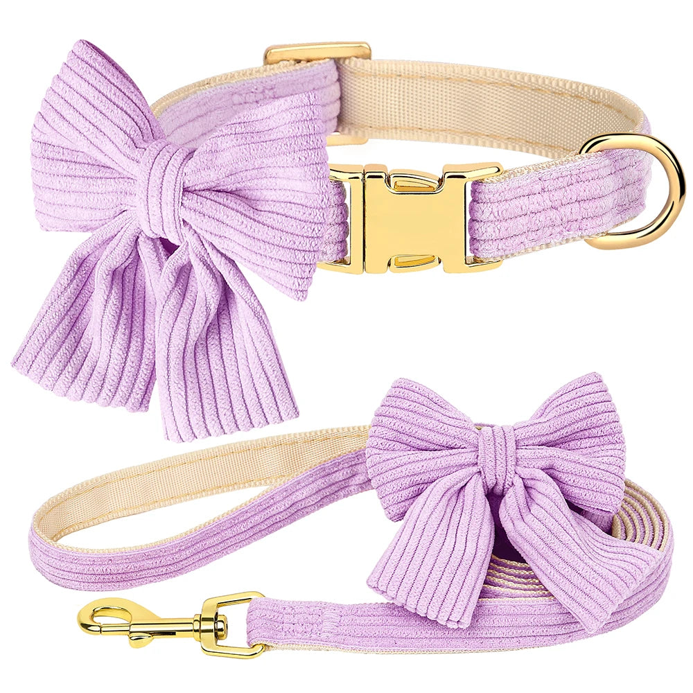 Collier et Laisse chien MonAmiFidèle
