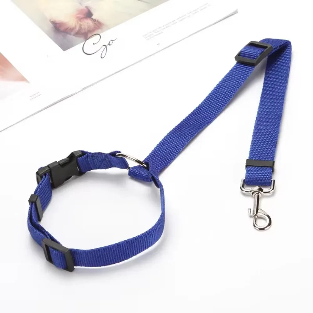 Laisse pour voiture pour Chien MonAmiFidèle