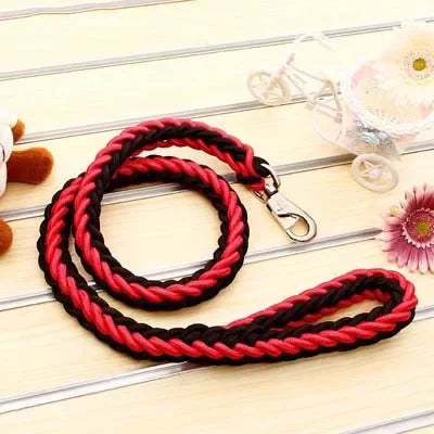 Laisse en nylon pour Chien MonAmiFidèle