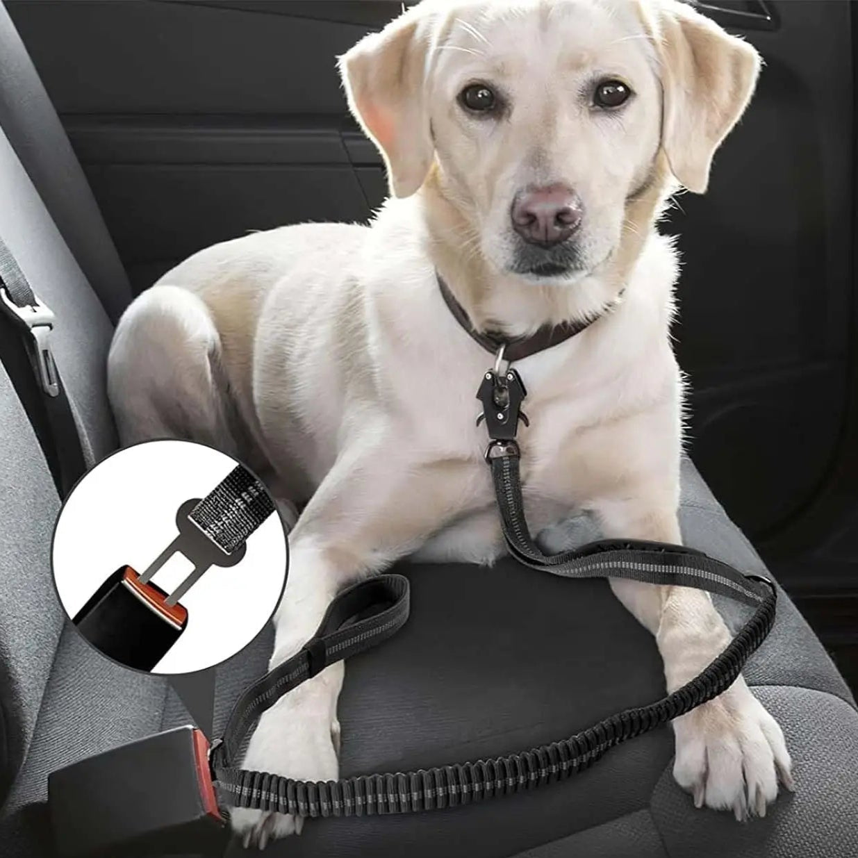 Reflective Shock Absorbing Pet Leashes with Car Seatbelt for Large Dogs Heavy Duty Tactical Bungee Dog Leash No Pull Dog Leash MonAmiFidèle