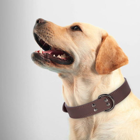 Collier en cuir pour Chien MonAmiFidèle