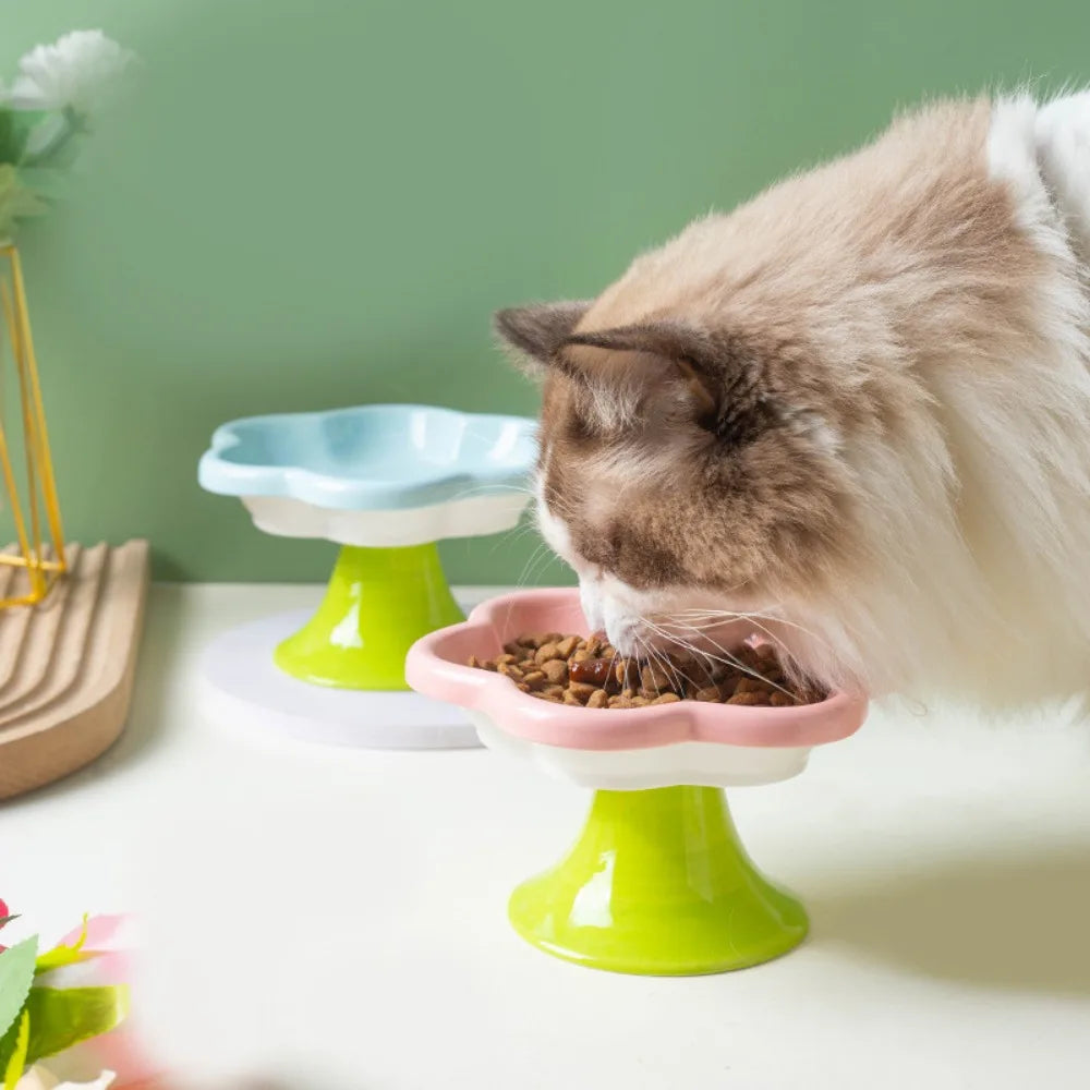 Gamelle Chat surélevée céramique Fleur MonAmiFidèle