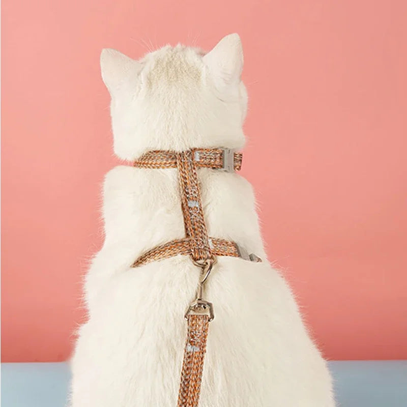 Harnais et Laisse pour Chat MonAmiFidèle