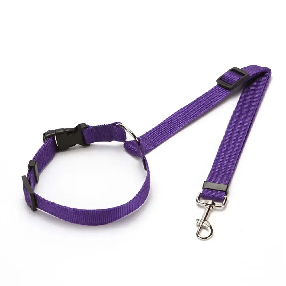 Laisse pour voiture pour Chien MonAmiFidèle
