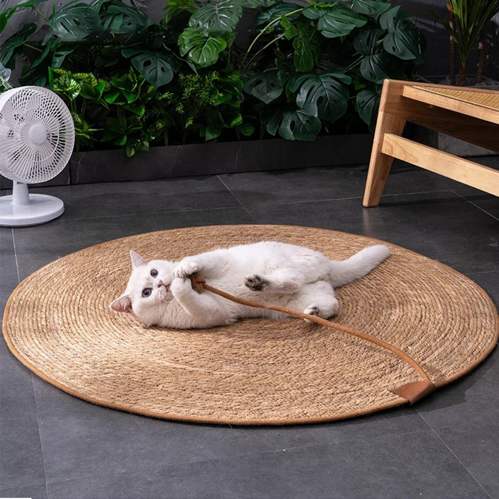 Tapis griffoir Chat MonAmiFidèle