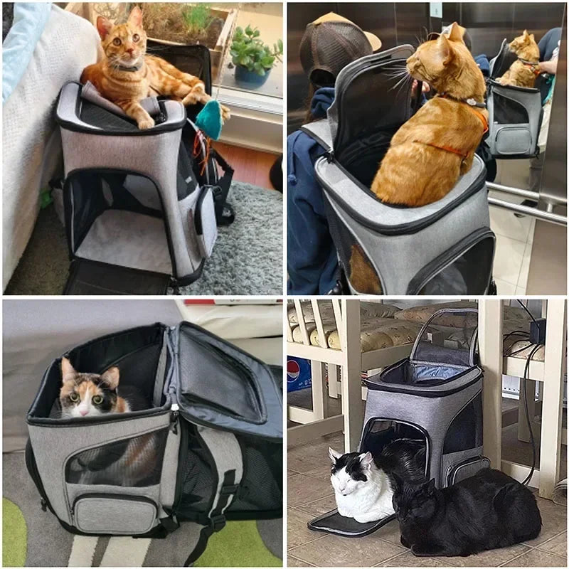 Sac à dos transport pour Chat extensible MonAmiFidèle