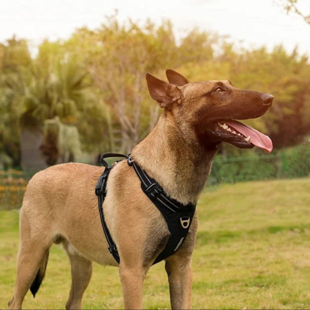 TRUE LOVE Pet Harness No Pull Nylon Reflective Dog Harness Adjustable Comfortable Control Step-in Brilliant Truelove TLH5654 MonAmiFidèle