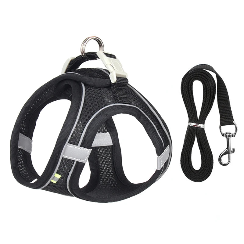 Harnais pour petit Chien MonAmiFidèle