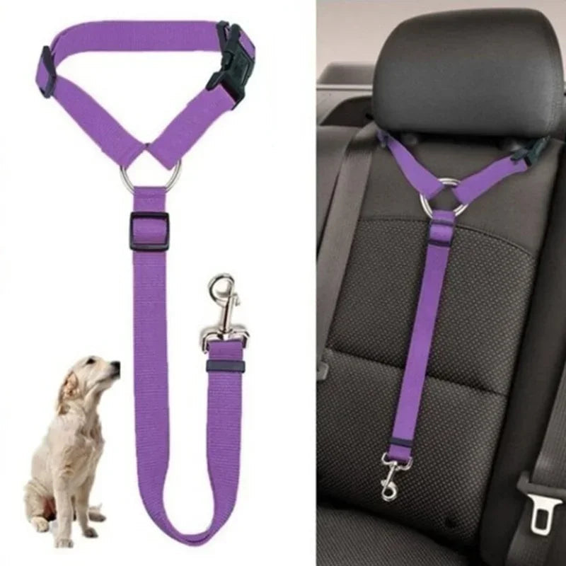 Laisse pour voiture pour Chien MonAmiFidèle