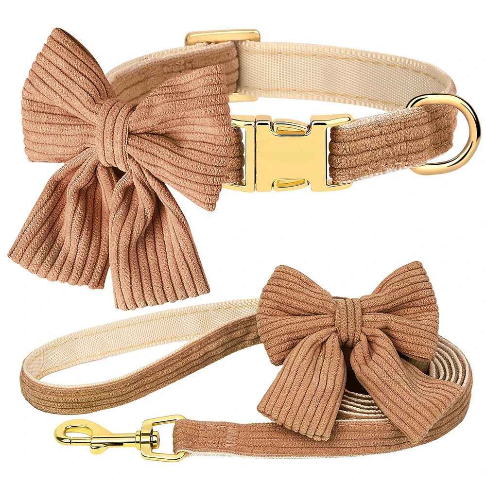 Collier et Laisse chien MonAmiFidèle