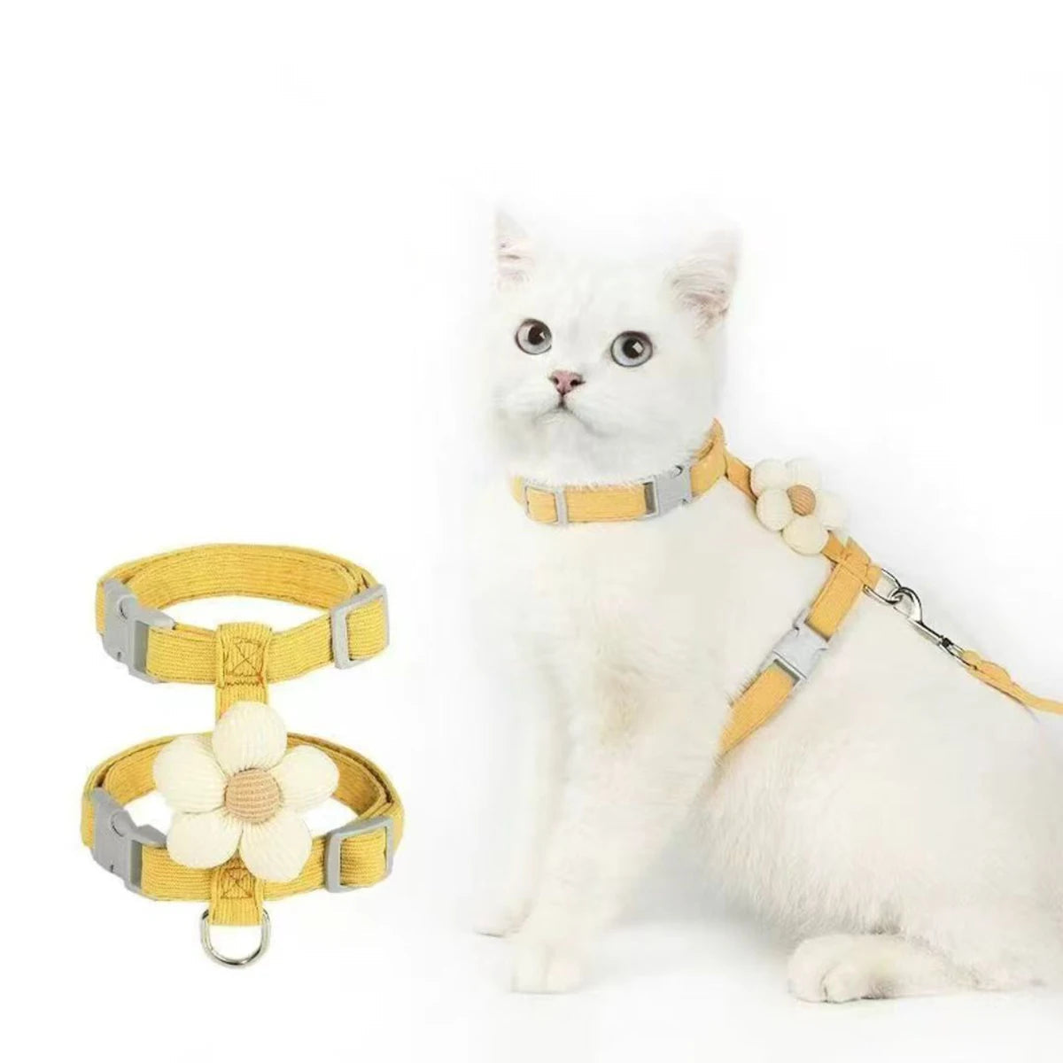 Harnais Laisse Chat Mignon MonAmiFidèle