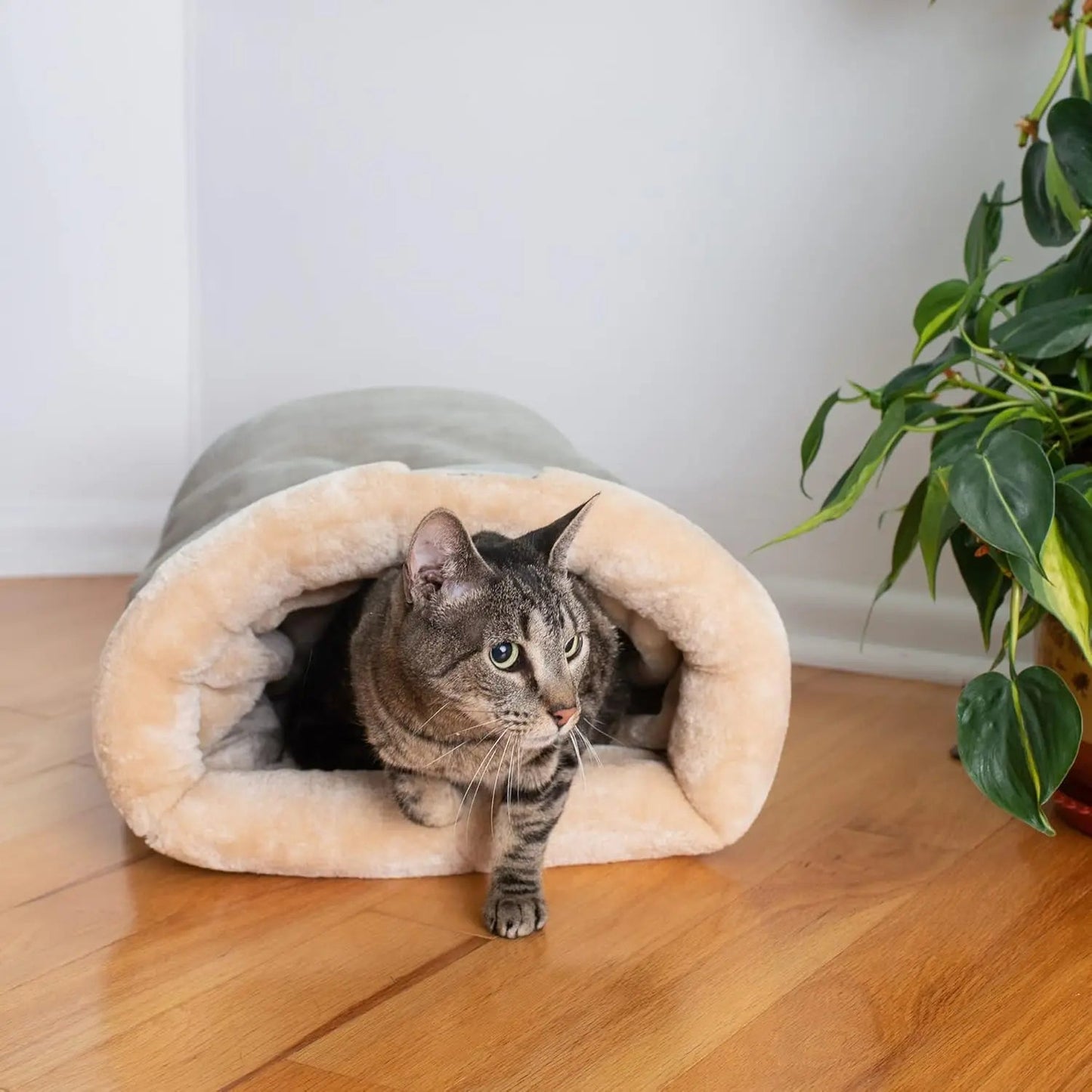 Autumn and Winter Cat Sleeping Bag Semi-enclosed Cat Nest Warm Small and Medium-sized Pet Nest Can Be Disassembled and Washed MonAmiFidèle